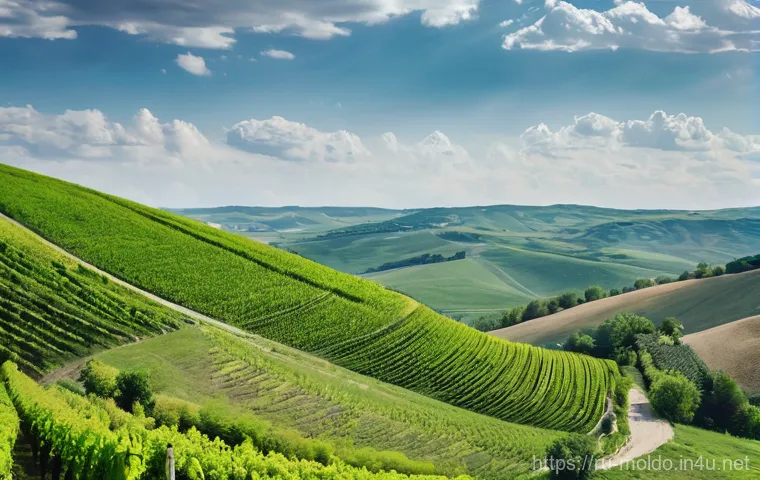 몰도바에서 자동차 렌트하기 - **Prompt:** A compact Dacia Logan or Skoda Fabia navigating smoothly through a bustling yet charming...