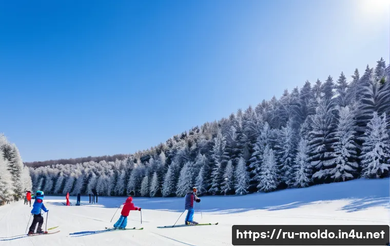 몰도바의 겨울 스포츠 - A serene winter scene at the Krikova ski resort in Moldova showcasing a family-friendly environment:...