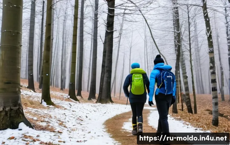 몰도바의 겨울 스포츠 관련 이미지 2